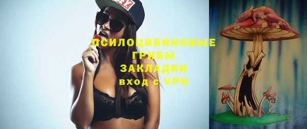 ГАЛЛЮЦИНОГЕННЫЕ ГРИБЫ Алексин